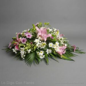 tributo en san josé