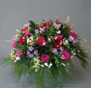 tributo funebre desamparados