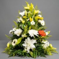 ofrenda floral san jose costa rica