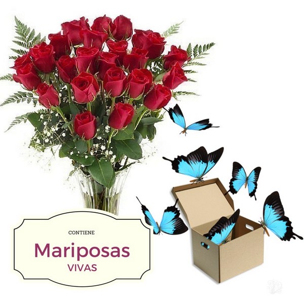 Ramo de rosas y caja con mariposas vivas