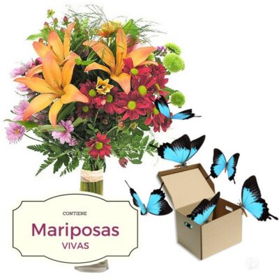 Flores variadas y caja con mariposas vivas