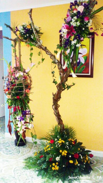 arbol con flores