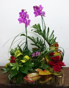 Arreglo con Orquídeas