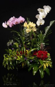 Arreglo con Orquídeas