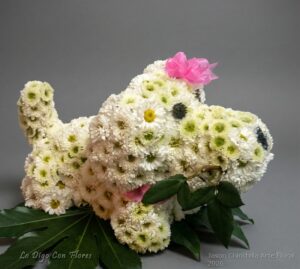 Perrita Floral