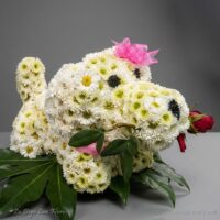 Perro Floral
