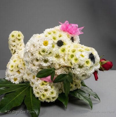 Perro Floral