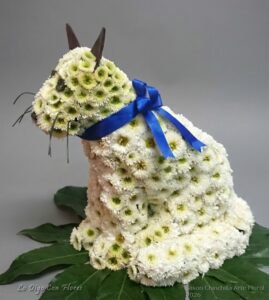 Gato Floral
