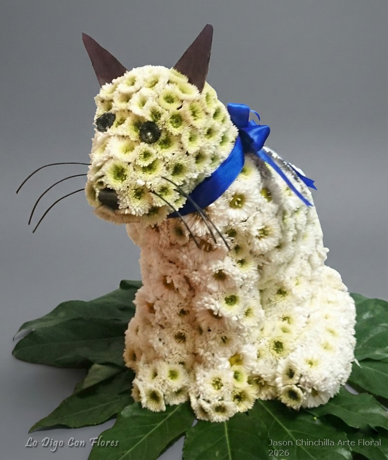 Gato Floral