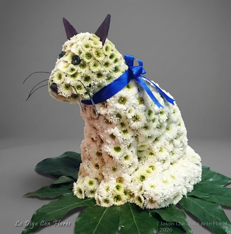 Gato Floral