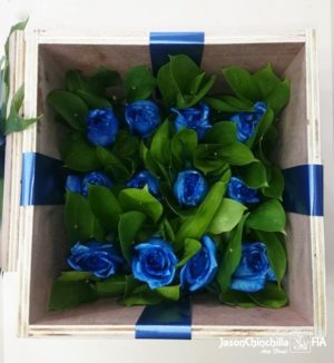 caja de rosas azules