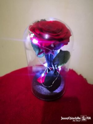 Rosa eterna