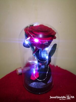Rosa eterna