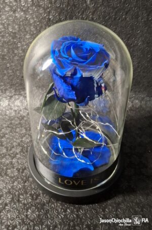 Rosa eterna