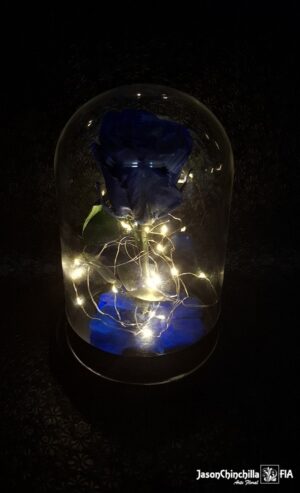 Rosa eterna