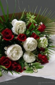 Peonias y rosas