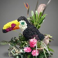 Tucan floral