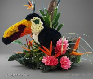 Tucan floral