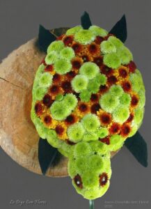 Tortuga Floral