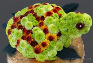 Tortuga Floral
