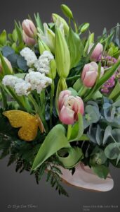 Tulipan