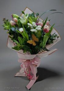 Tulipan