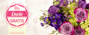 Oferta Flores