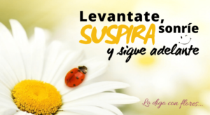 flores oferta costa rica