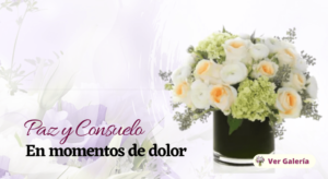 flores oferta costa rica