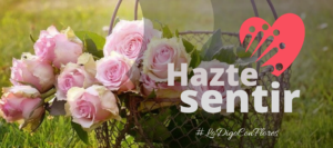 flores costa rica