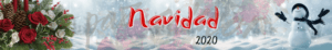 flores navidad