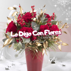 flores navidad