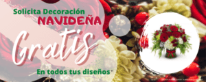 flores navidad