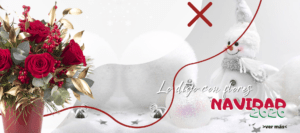 flores navidad