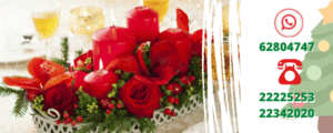 flores navidad