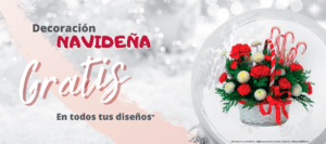 flores navidad