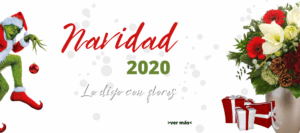 flores navidad