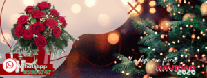 flores navidad