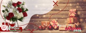 flores navidad