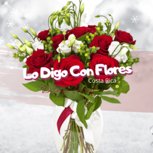 flores navidad