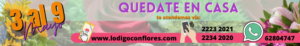 Flores Costa Rica