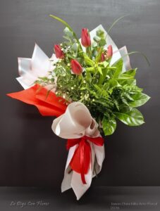 tulipan