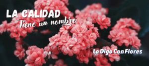 flores san jose costa rica