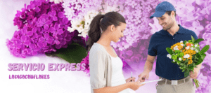 flores san jose costa rica