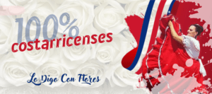 flores san jose costa rica