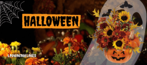 flores san jose costa rica