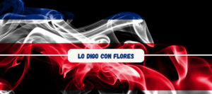 flores san jose costa rica