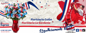 flores san jose costa rica
