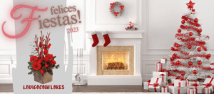 Flores navidad costa rica