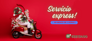 Flores navidad costa rica